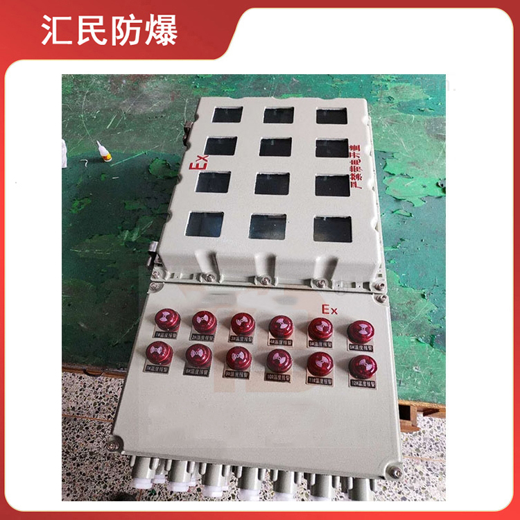 安徽丝瓜视频下载安装防爆电气有限公司BX挂式丝瓜黄APP视频