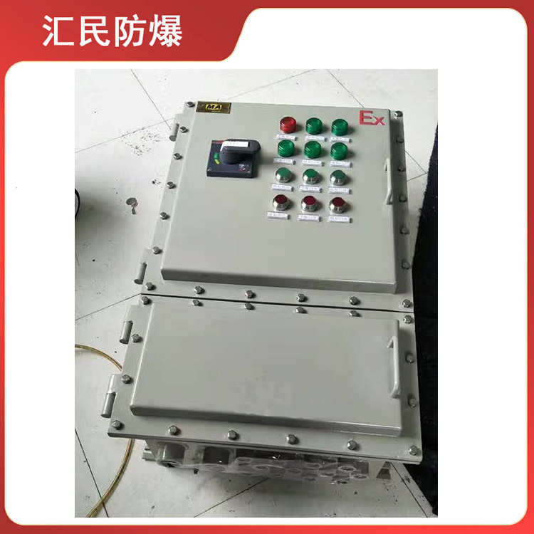 安徽丝瓜视频下载安装防爆电气有限公司BXK51壁挂式带总开关丝瓜黄APP视频